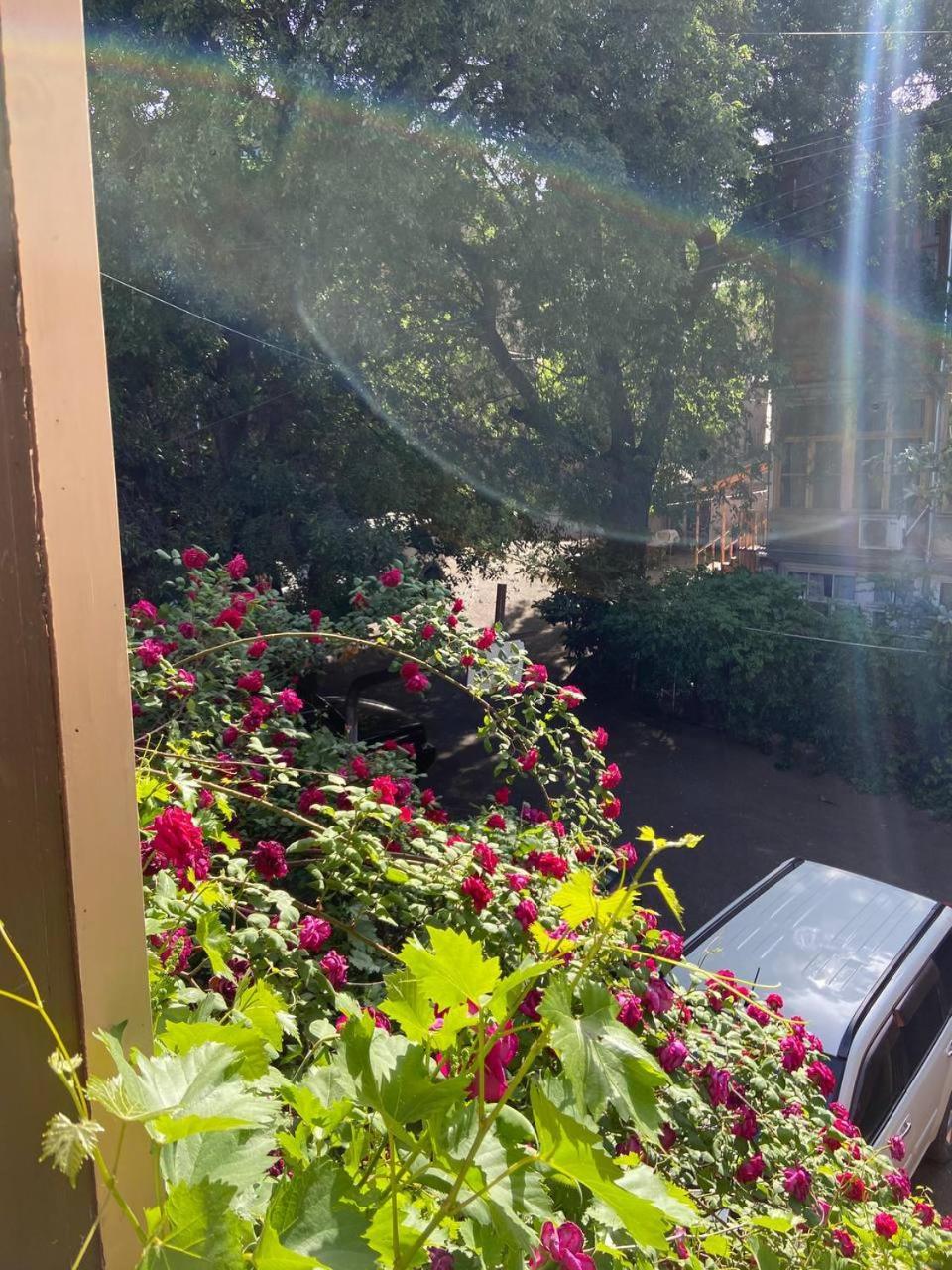 Hotel "Tbilisi Tales" In The Heart Of The Old City エクステリア 写真
